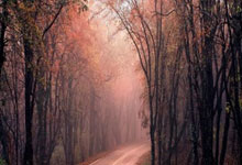 西班牙足球赛场一场精彩战局即将展开