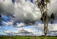 皇马球员频繁轮换阵容挑战重重