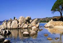 猛龙击败森林狼加索尔大三双完美表现